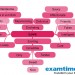 ExamTime love heart mind map